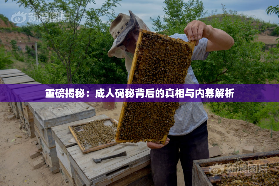 重磅揭秘：成人码秘背后的真相与内幕解析