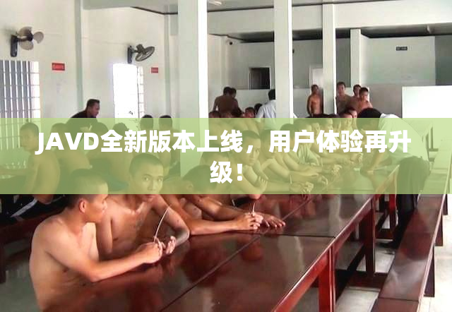 JAVD全新版本上线，用户体验再升级！
