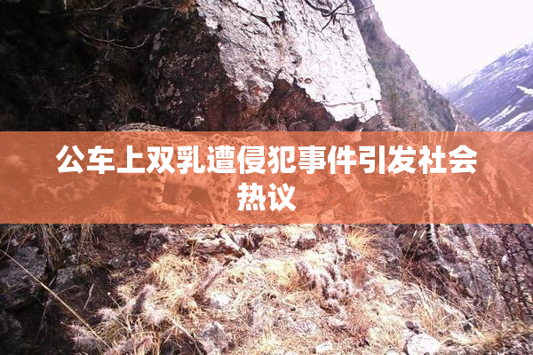 公车上双乳遭侵犯事件引发社会热议