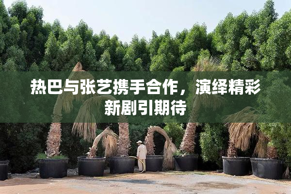 热巴与张艺携手合作，演绎精彩新剧引期待