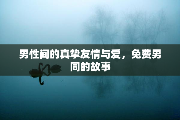 男性间的真挚友情与爱，免费男同的故事