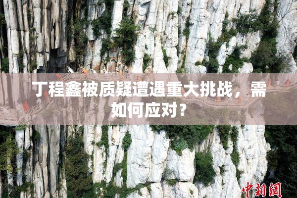 丁程鑫被质疑遭遇重大挑战，需如何应对？