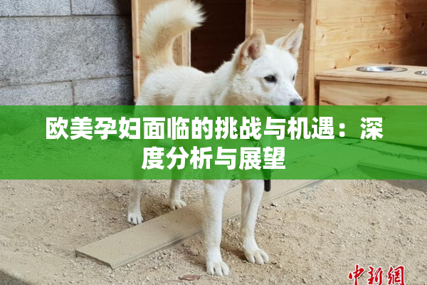 欧美孕妇面临的挑战与机遇：深度分析与展望