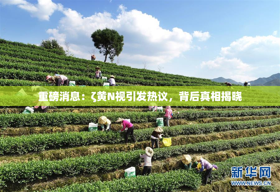 重磅消息：ζ黄Ν视引发热议，背后真相揭晓