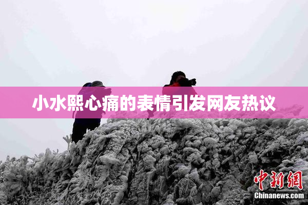 小水熙心痛的表情引发网友热议