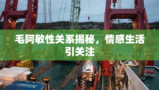 毛阿敏性关系揭秘，情感生活引关注