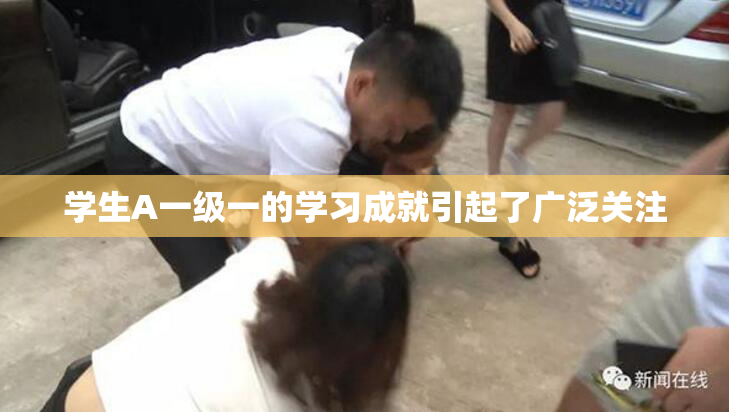 学生A一级一的学习成就引起了广泛关注