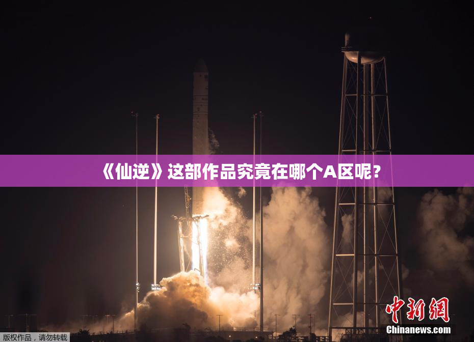 《仙逆》这部作品究竟在哪个A区呢？