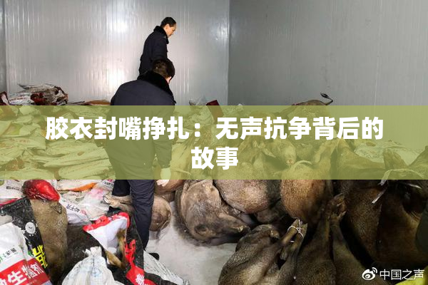 胶衣封嘴挣扎：无声抗争背后的故事