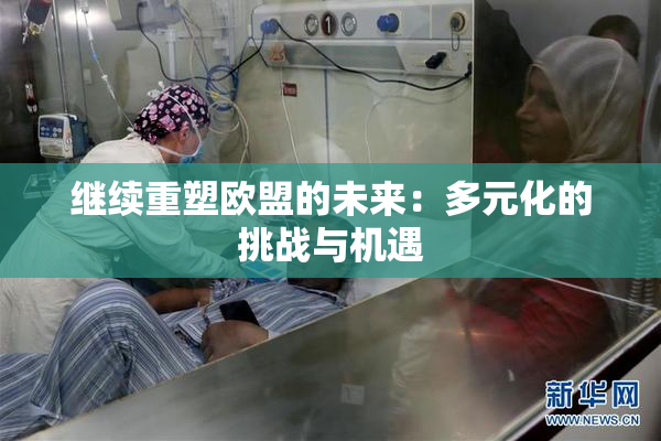 继续重塑欧盟的未来：多元化的挑战与机遇