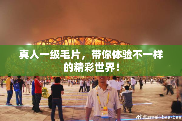 真人一级毛片，带你体验不一样的精彩世界！