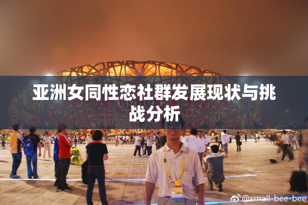 亚洲女同性恋社群发展现状与挑战分析