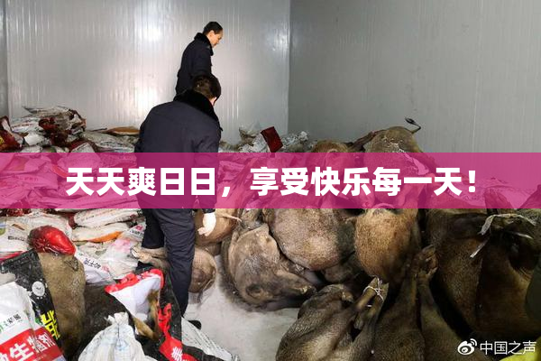 天天爽日日，享受快乐每一天！