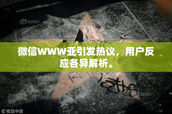 微信WWW亚引发热议，用户反应各异解析。