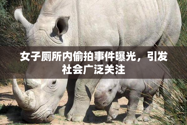 女子厕所内偷拍事件曝光，引发社会广泛关注