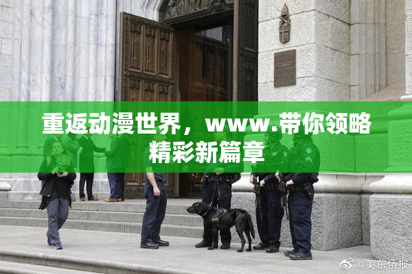 重返动漫世界，www.带你领略精彩新篇章