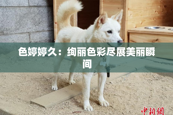 色婷婷久：绚丽色彩尽展美丽瞬间
