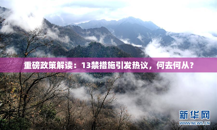 重磅政策解读：13禁措施引发热议，何去何从？