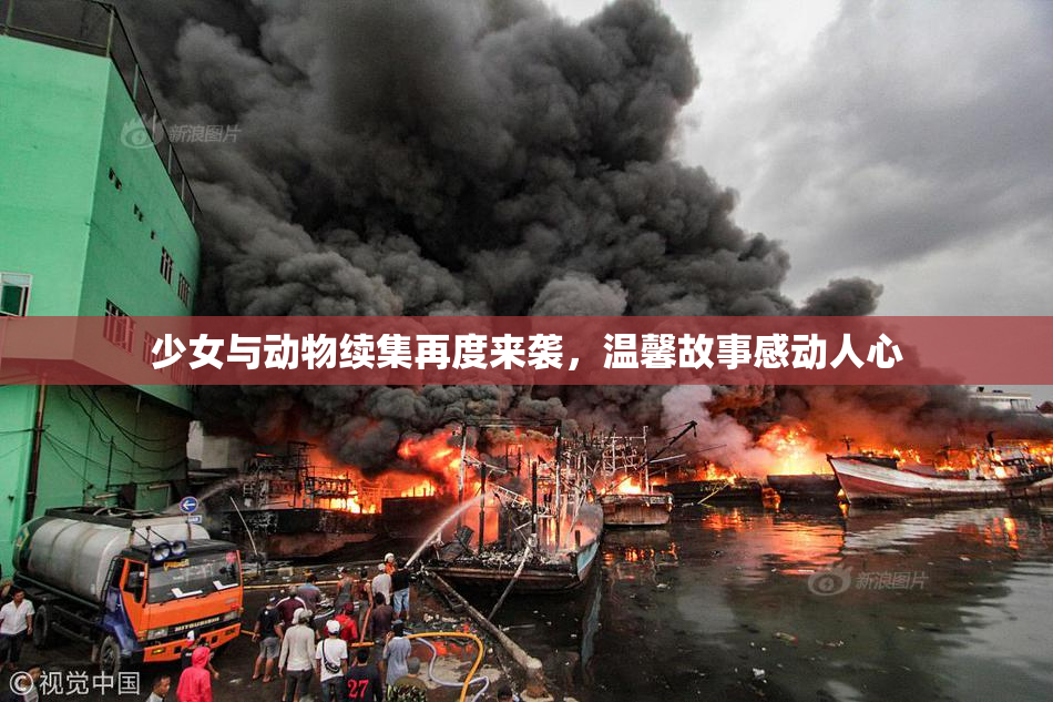 少女与动物续集再度来袭，温馨故事感动人心