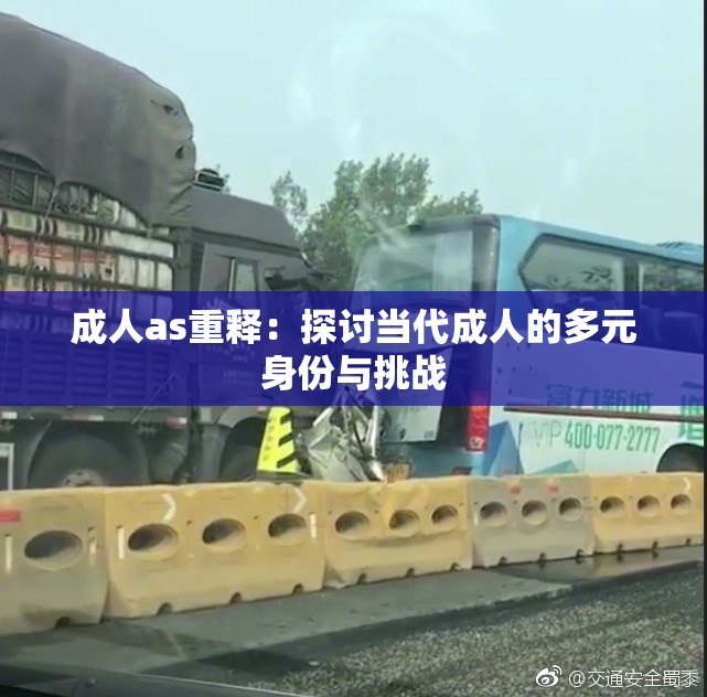 成人as重释：探讨当代成人的多元身份与挑战
