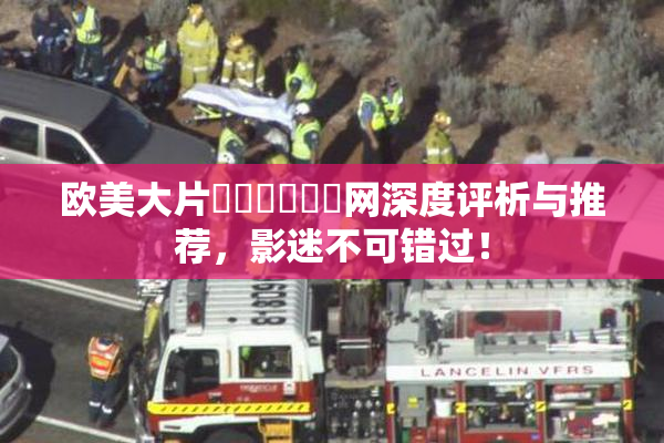 欧美大片❌‌❌‌❌‌网深度评析与推荐，影迷不可错过！