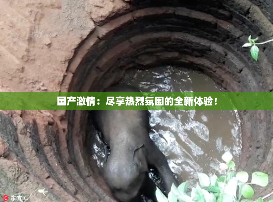 国产激情：尽享热烈氛围的全新体验！