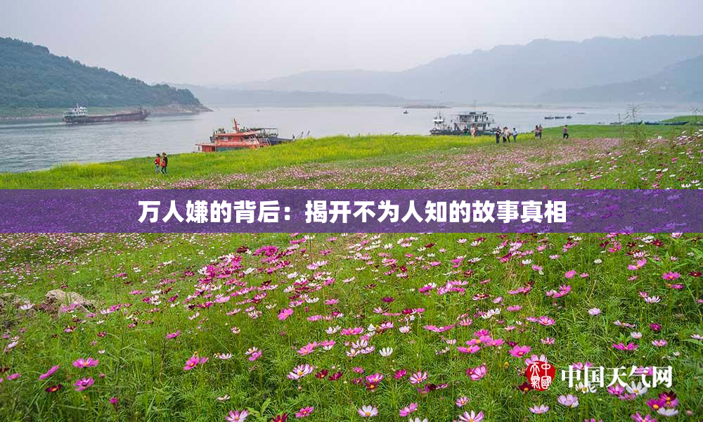 万人嫌的背后：揭开不为人知的故事真相