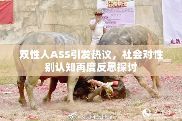 双性人ASS引发热议，社会对性别认知再度反思探讨