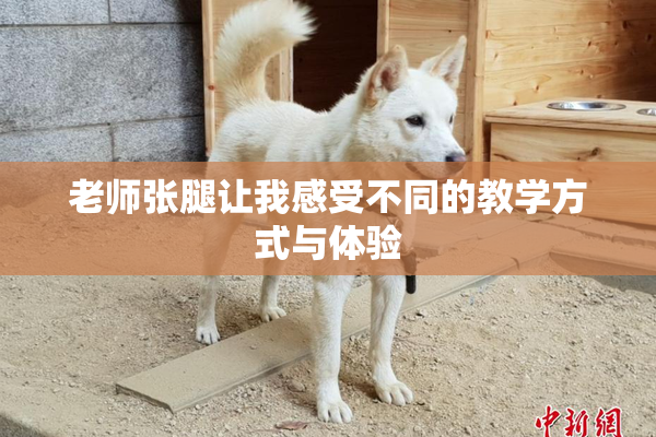 老师张腿让我感受不同的教学方式与体验