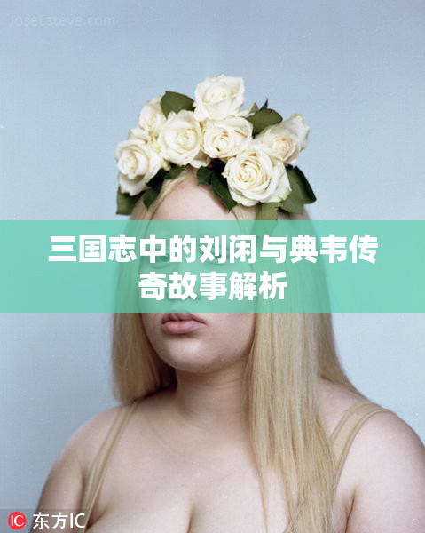 三国志中的刘闲与典韦传奇故事解析