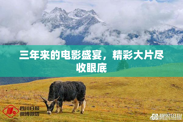 三年来的电影盛宴，精彩大片尽收眼底