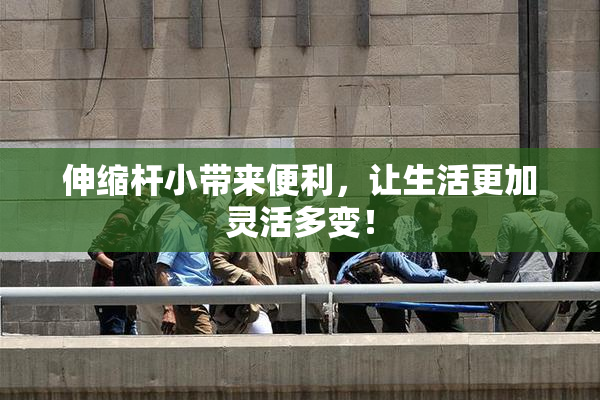伸缩杆小带来便利，让生活更加灵活多变！
