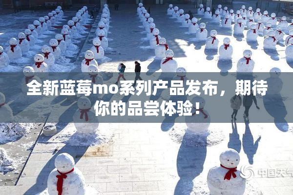 全新蓝莓mo系列产品发布，期待你的品尝体验！