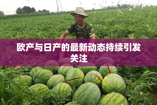 欧产与日产的最新动态持续引发关注