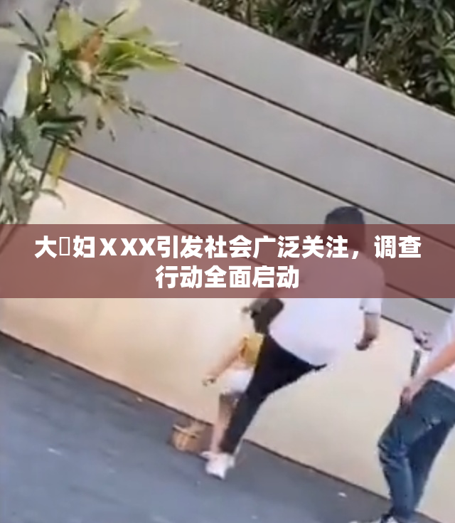 大婬妇ⅩXX引发社会广泛关注，调查行动全面启动