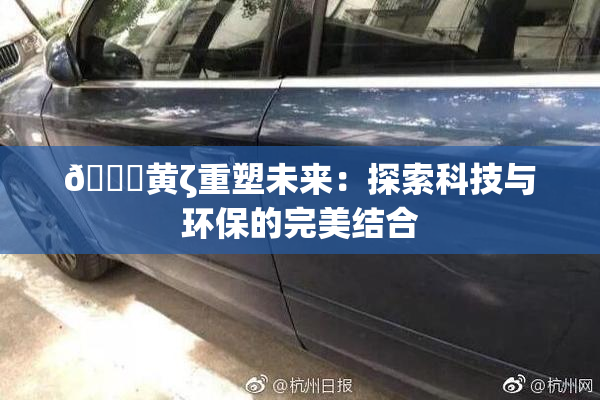 🔞黄ζ重塑未来：探索科技与环保的完美结合