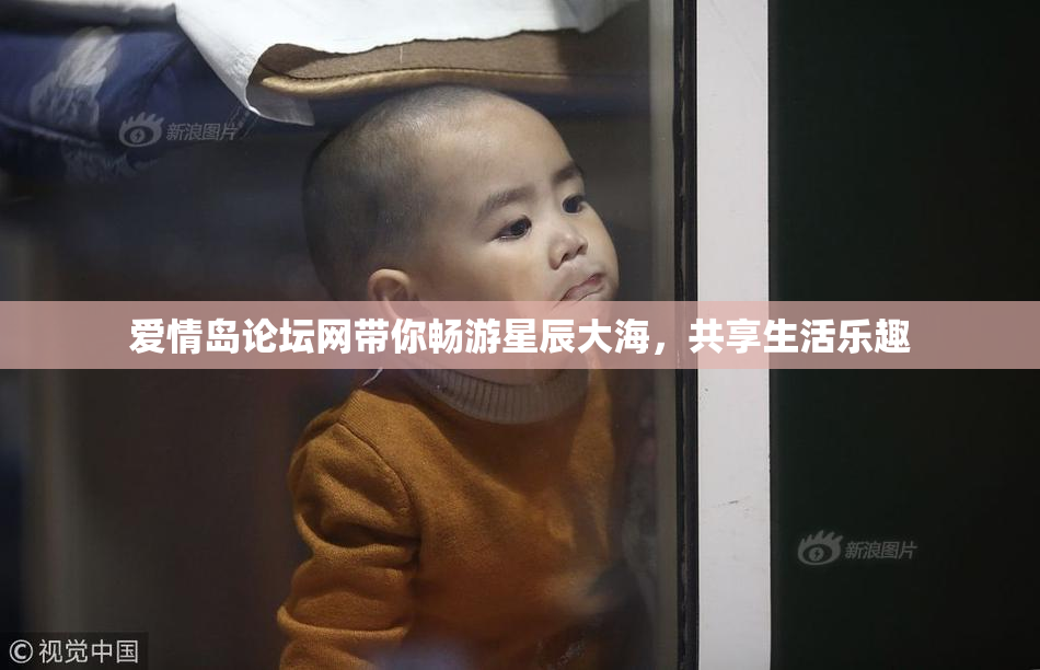 爱情岛论坛网带你畅游星辰大海，共享生活乐趣