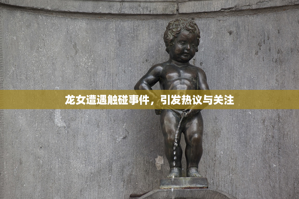 龙女遭遇触碰事件，引发热议与关注