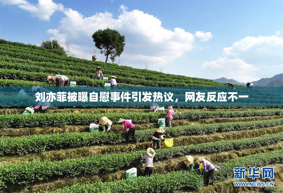 刘亦菲被曝自慰事件引发热议，网友反应不一