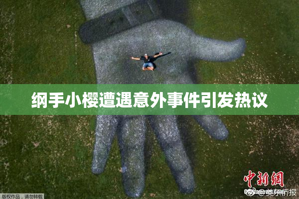 纲手小樱遭遇意外事件引发热议
