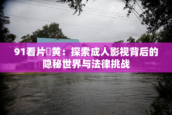 91看片婬黄：探索成人影视背后的隐秘世界与法律挑战