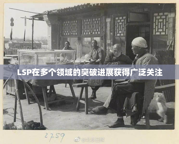 LSP在多个领域的突破进展获得广泛关注
