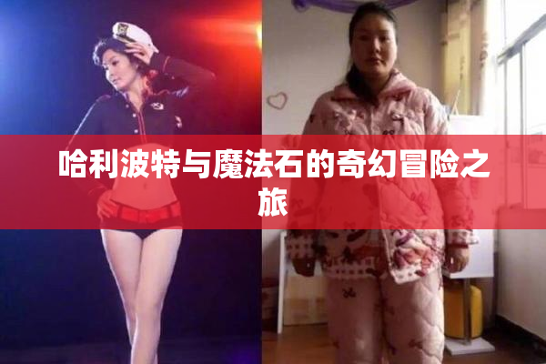 哈利波特与魔法石的奇幻冒险之旅