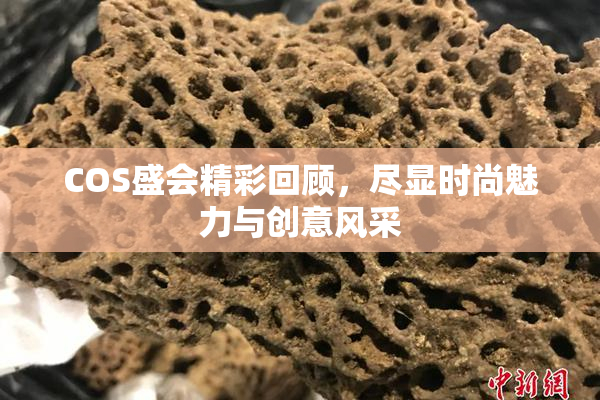COS盛会精彩回顾，尽显时尚魅力与创意风采