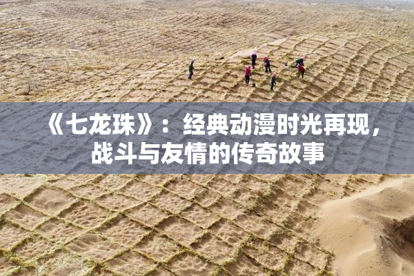 《七龙珠》：经典动漫时光再现，战斗与友情的传奇故事