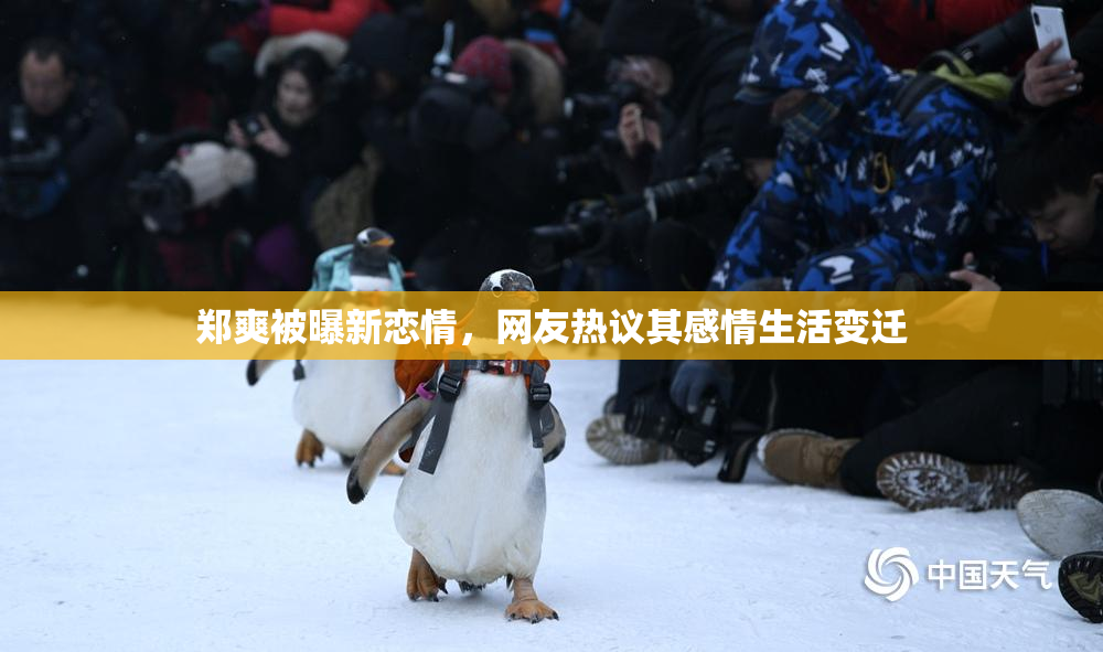 郑爽被曝新恋情，网友热议其感情生活变迁