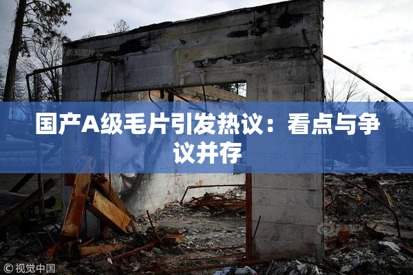 国产A级毛片引发热议：看点与争议并存