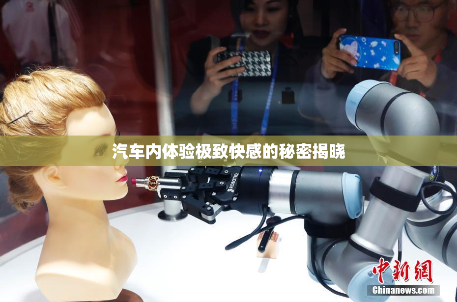 汽车内体验极致快感的秘密揭晓