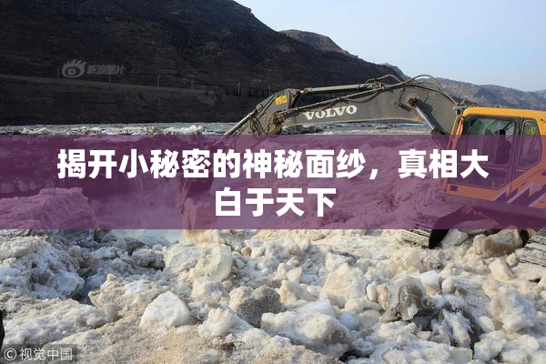 揭开小秘密的神秘面纱，真相大白于天下