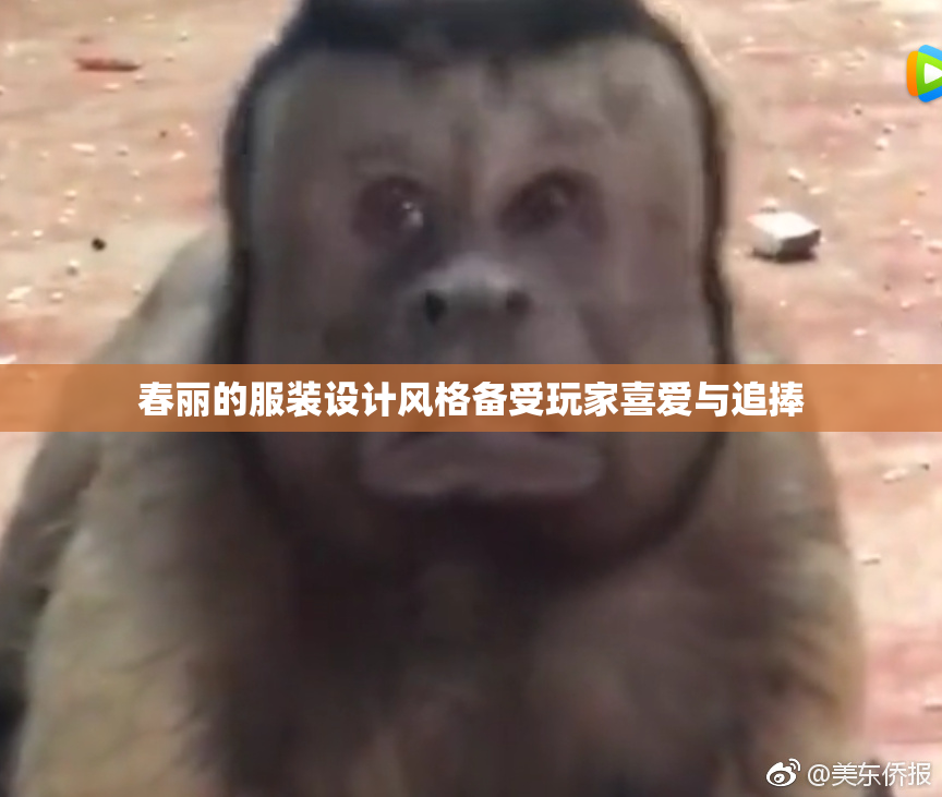 春丽的服装设计风格备受玩家喜爱与追捧
